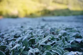未来几天厦门天气多变 明后天局部或有雨图片
