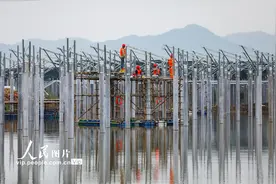 江西湖口：“渔光互补”光伏发电项目建设正酣图片