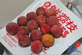 “冻眠”荔枝上热搜！专家：不加防腐剂，解冻后不化水图片