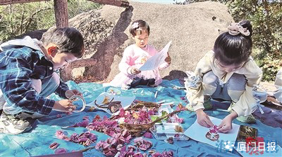 秋韵无限 鹭岛掀起“捡秋热”