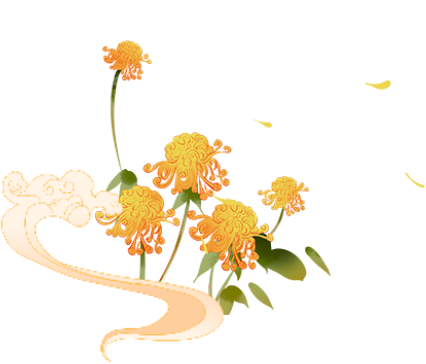 重阳暖孝亲，文脉润金陵——携父母同游南京夫子庙