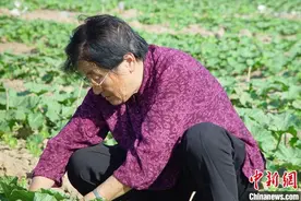 94岁吴明珠重返新疆吐鲁番 再续瓜果情缘图片