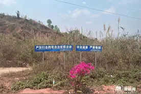 缅北规模化电诈园区全部被铲除 专家：谨防当地毒品犯罪势头上升图片