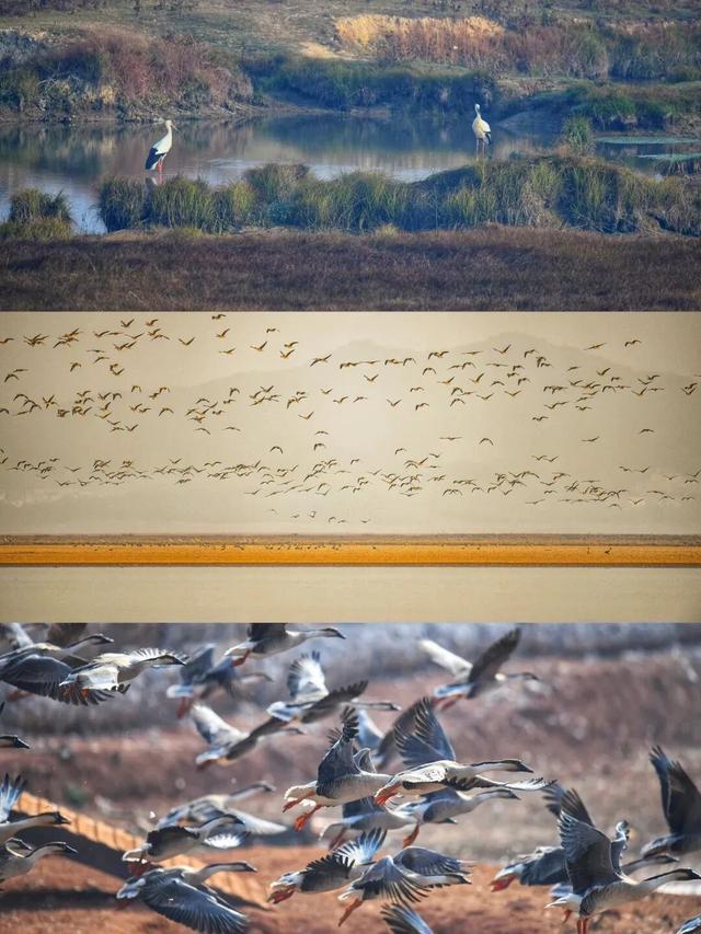 江西的美，不止“风花雪月”！