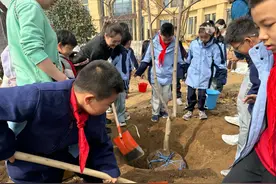 心愿卡挂满树苗，师生合力绘出校园“绿”画卷图片