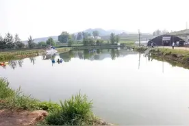 沁县：农民“试水”养泥鳅迈上致富路图片