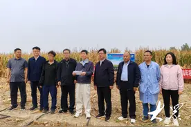 650.1公斤/亩！“鲁单510”在中度盐碱地上创出新高产图片