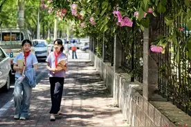 快来打卡！石家庄十几条蔷薇花街强势“出街”图片