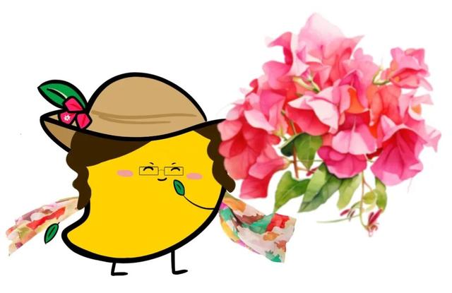 三亚，“老”出片了