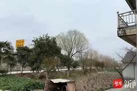 苏事通｜盐城一村庄距离高速公路不足30米 噪音扰民如何解决？图片