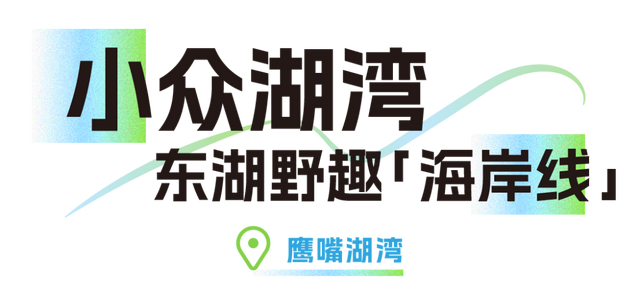 武汉绝美「海上公路」，就在东湖！