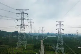 献礼五一！山东电建一公司承建徐家渡220kV变电站间隔改造工程及新津-徐家渡线路工程顺利完工送电图片