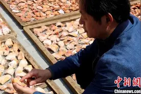 （乡村行·看振兴）黟县洪星乡：小笋干撬动大产业 走出乡村振兴“共富路”图片