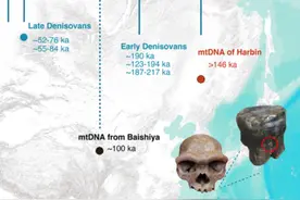 最新研究阐明哈尔滨古人类是丹尼索瓦人图片