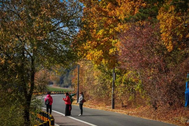 安全游园 文明游园 畅享生态之美