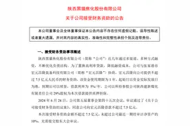 获7.5亿财务资助，陕西黑猫降融资成本图片