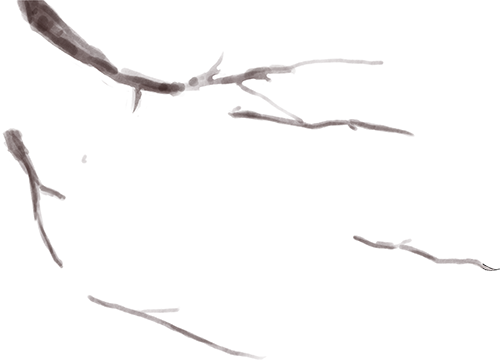 青睐绵阳 ‖ 马角秋日限定！解锁脆柿打卡新玩法，一日逛吃采摘攻略速领→