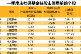 一季度社保基金持仓曝光：重仓113只个股，青睐铝产业与医药生物图片