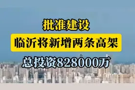 沂视频|总投资828000万！临沂将新增两条高架图片