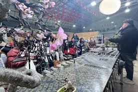 “花木之乡”，何以跃向“中国花谷”？图片