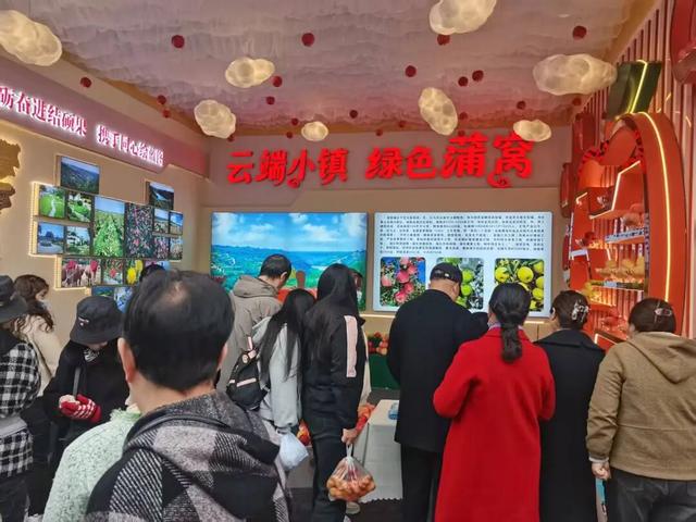 赴蒲窝之约，享一场云端与绿意的诗意相逢