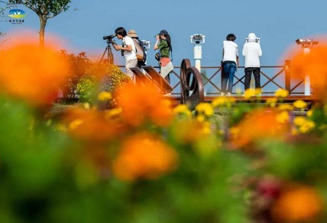 组图|黄海1号，331公里的秋日画廊