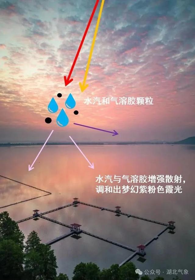 解码东湖朝霞，武汉最浪漫的晨间仪式！