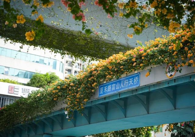 风渐凉，来福建寻一片温柔的秋