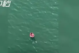 30秒｜四川仪陇：丈夫跳水救妻不幸溺亡 妻子最终获救图片