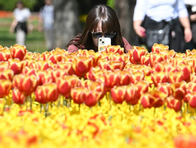 意大利：春天的花海