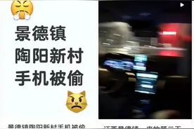 维护景德镇“瓷都”形象，不容小偷横行｜新京报快评图片