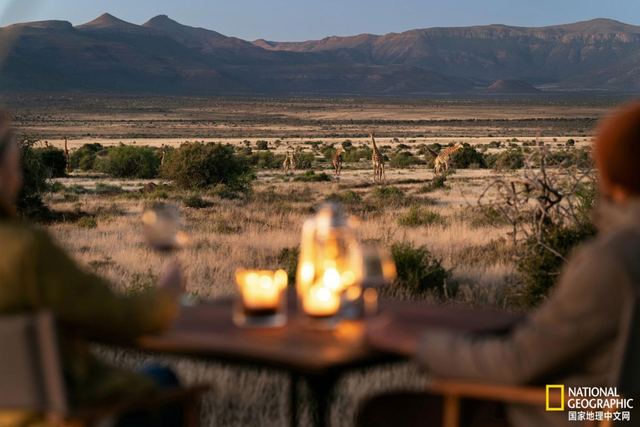 见证百万沙丁鱼集体巡游，南非之美远不止一座开普敦