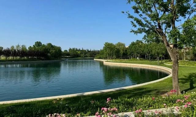 桃红柳绿樱如雪！通州三个赏花好去处，超美超出片~