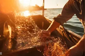 海鲜大降价！一斤便宜20元！你尝“鲜”了吗？图片