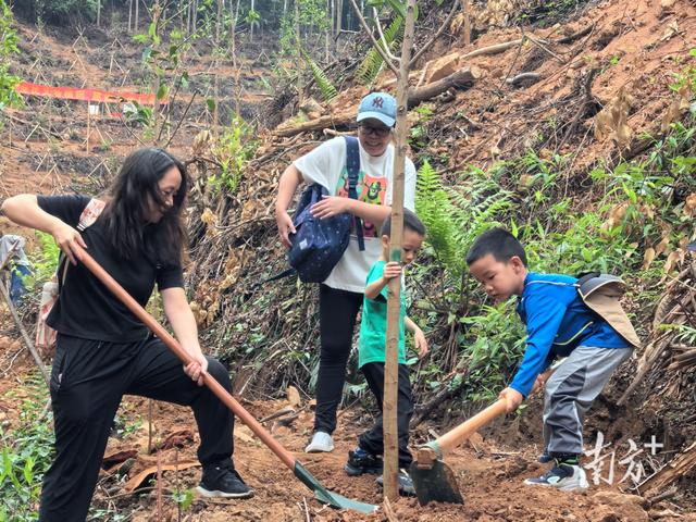 广东厚植绿色家底，释放生态红利