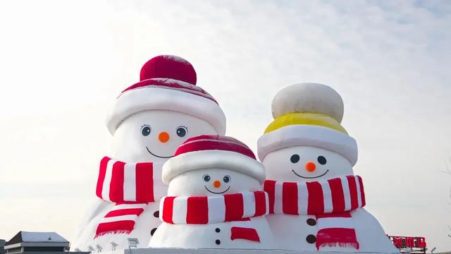 “顶流”扎堆黑龙江！速来贴贴！