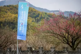 总投资3385万元！萧山这5个村即将大变样！有你家吗？图片