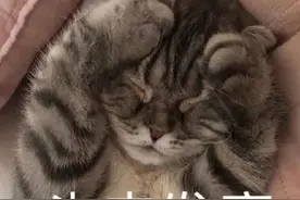 头皮发麻！生了虫的米还能吃吗？专家这样说图片