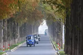 高质量发展调研行丨在浙江桐庐，品味乡村美学图片