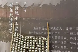 枣庄蚕丝织造技艺传人们带着活蚕蛹，亮相非遗博览会图片