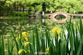 五一假期，浙江天气两个关键词：晴多雨少和高温图片