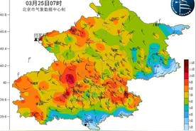 预警升级，北京阵风可达10级以上！已有树被刮倒图片