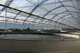 守初心 担使命 做两地情谊的缔结者——商洛赴南京挂职团队工作纪实图片