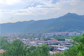 南山梨农的夏天：摘下一万六千个梨子图片