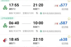 返程仅剩“万元高价票”，临时订票怎么省钱？图片