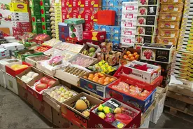 秋冬水果消费趋势：柑橘柚子热销，消费者更追求“质价比”图片