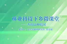 林业科技下乡微课堂丨杏的品种情况图片