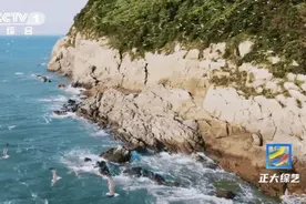 踏浪逐沙、欢乐赶海、观鸟赏日，来“百岛之县”开启海岛游！图片