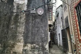 密恐慎入！一出租屋竟被白蚁蛀空！图片