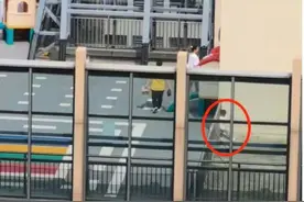 广东江门一幼儿被关早教机构楼顶？区卫健局：已介入调查图片